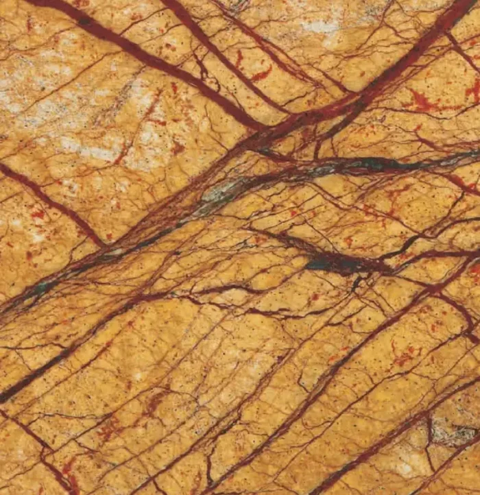 Rain forest gold – Image 1