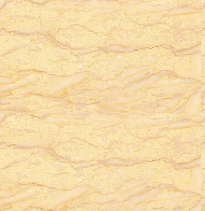 Sylvia – Image 1